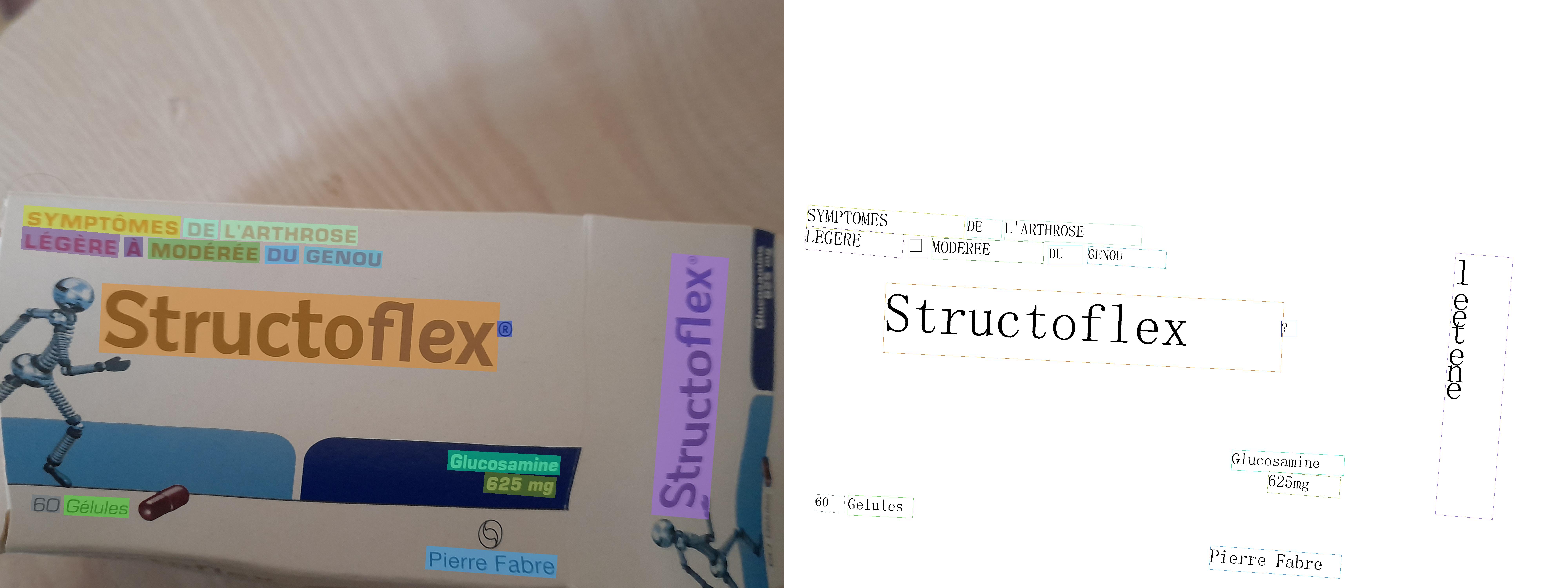 What the OCR model sees